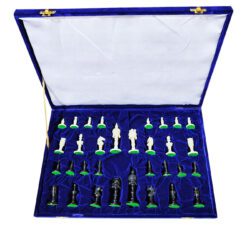 chess pieces in chess box