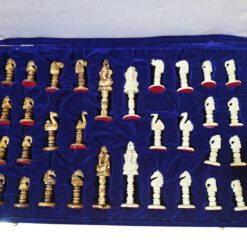 chess pieces in vulvate storage box
