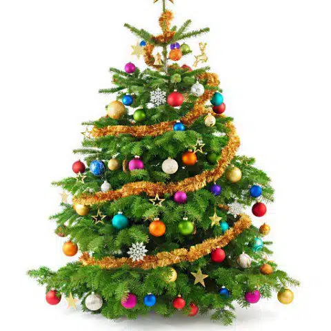 Beautiful decorated Christmas tree with colorful ornaments, glittering tinsel, and a star topper.