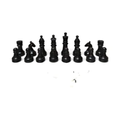 Camel Bone Chess Set | Handcrafted Board & Storage Box - Image 7